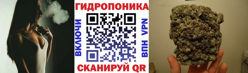 Что такое Калтан A-PVP  Псилоцибиновые грибы  Меф 
