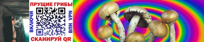 Галлюциногенные грибы MAGIC MUSHROOMS  даркнет сайт  Калтан 
